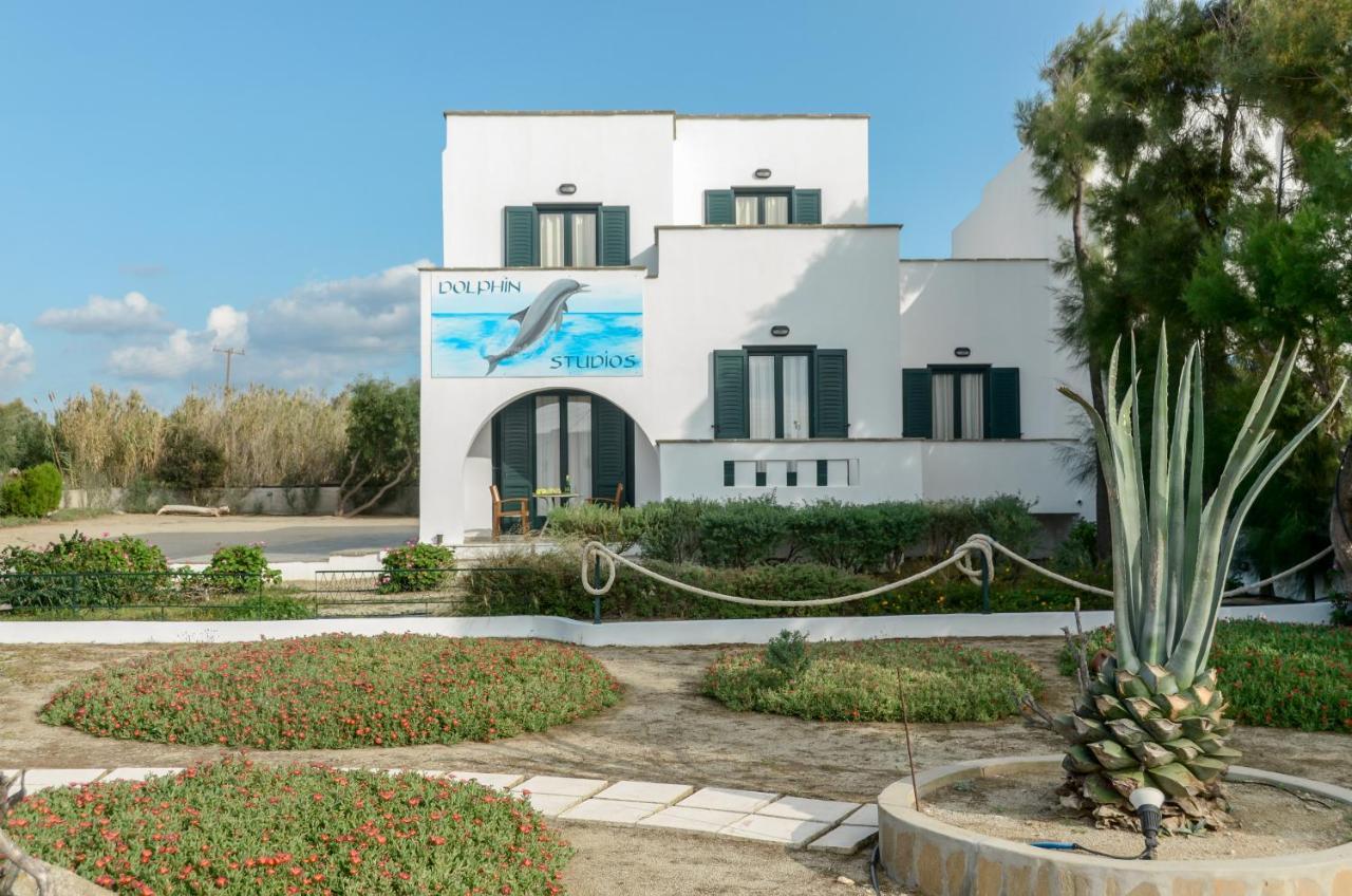 Dolphin Studios Agia Anna  エクステリア 写真